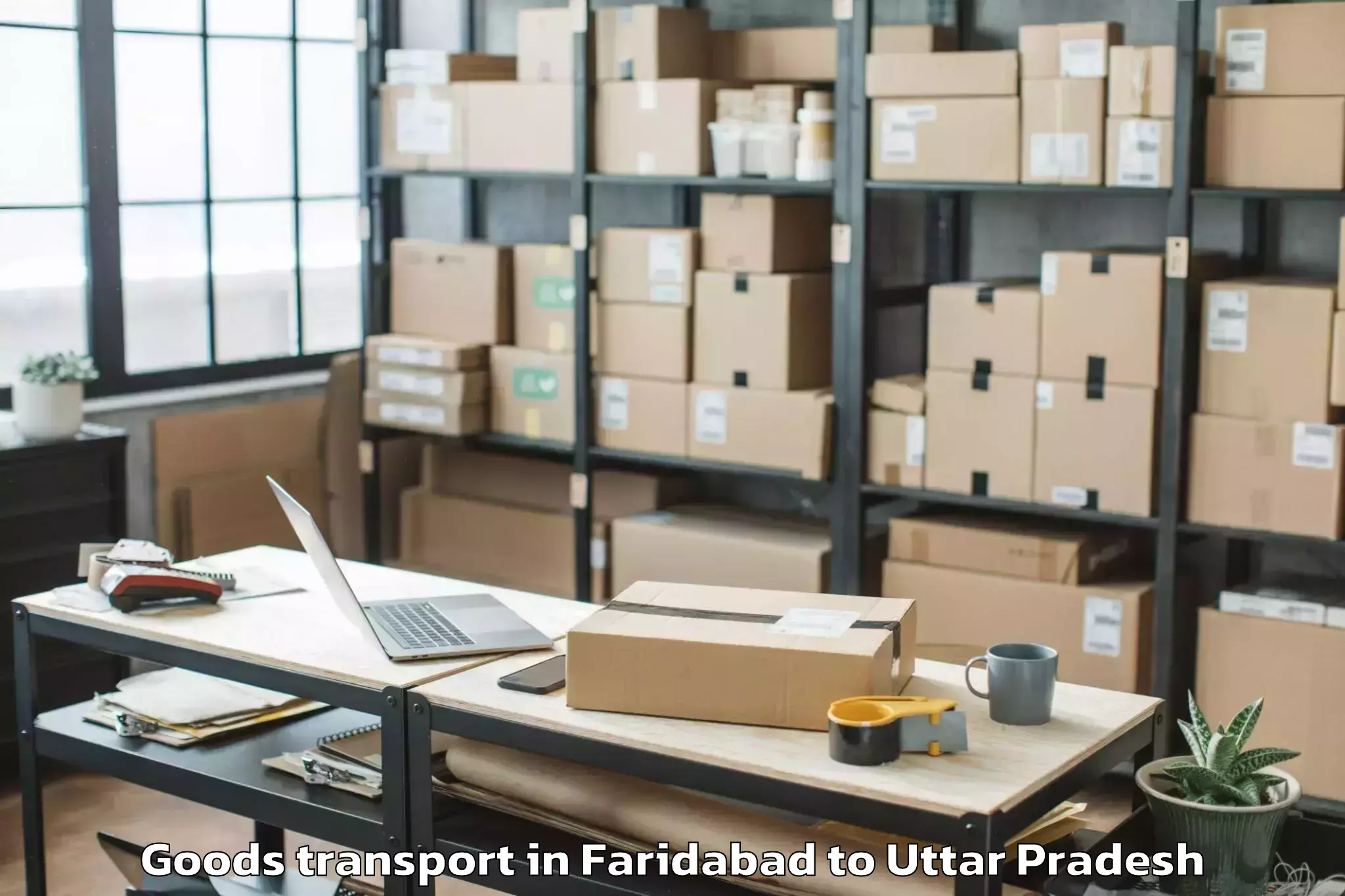 Easy Faridabad to The Mall Goods Transport Booking